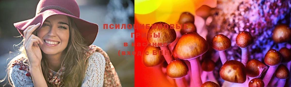 гашишное масло Покачи