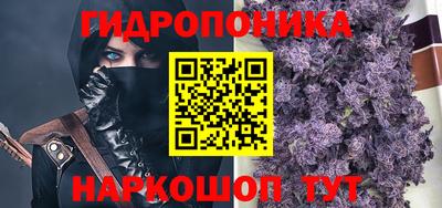 Альфа ПВП Кингисепп