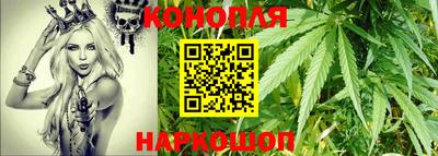Альфа ПВП Кингисепп