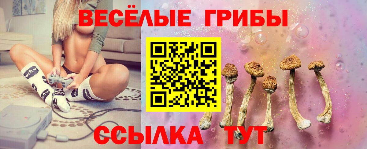 Псилоцибиновые грибы прущие грибы  Вход с VPN  Славянск-на-Кубани 