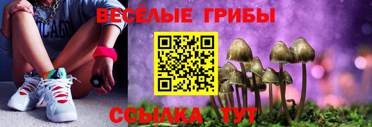 Псилоцибиновые грибы Magic Shrooms Славянск-на-Кубани