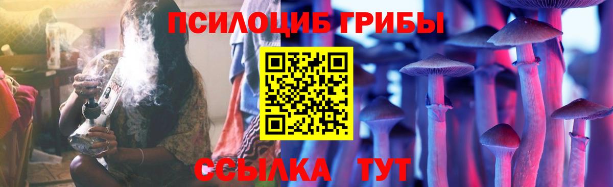 Псилоцибиновые грибы GOLDEN TEACHER Славянск-на-Кубани